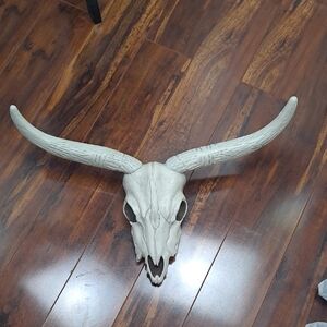 Crazy Bonez Plastic Decorative Longhorn Skull Wall Accent in Off-White Spooky